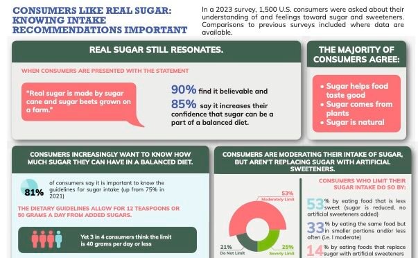2023 Consumer Survey Findings Infographic