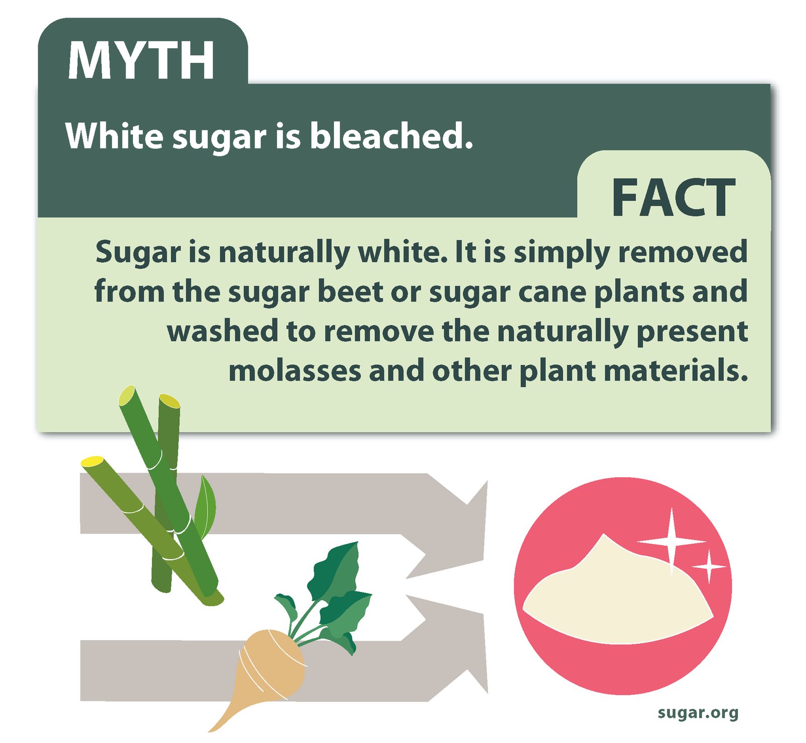 Infographic White sugar is bleached