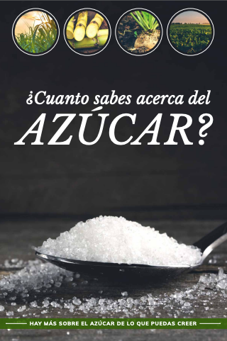 How Well Do You Know Sugar - Spanish