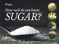 how well do you know sugar