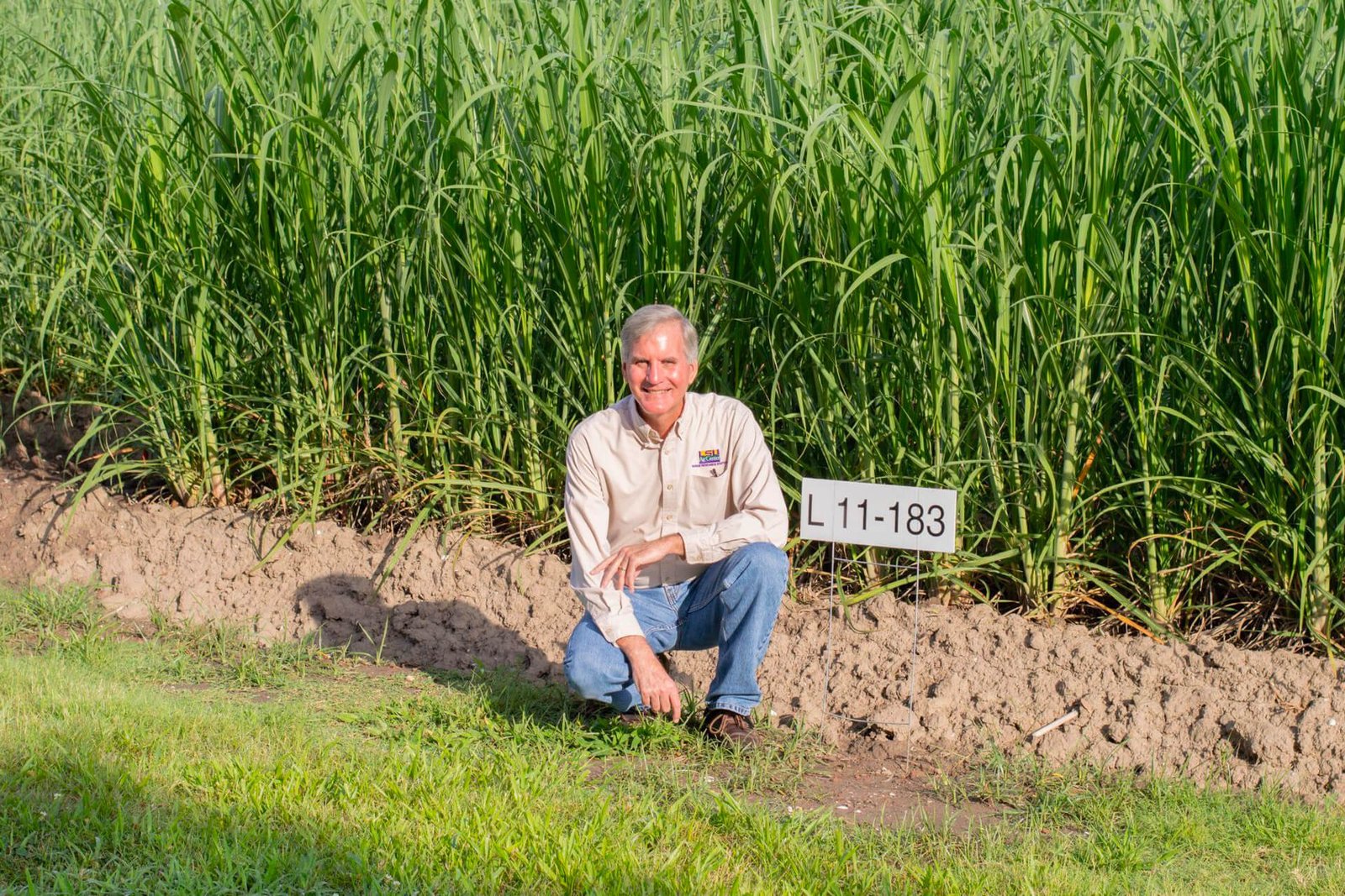 sugar worker