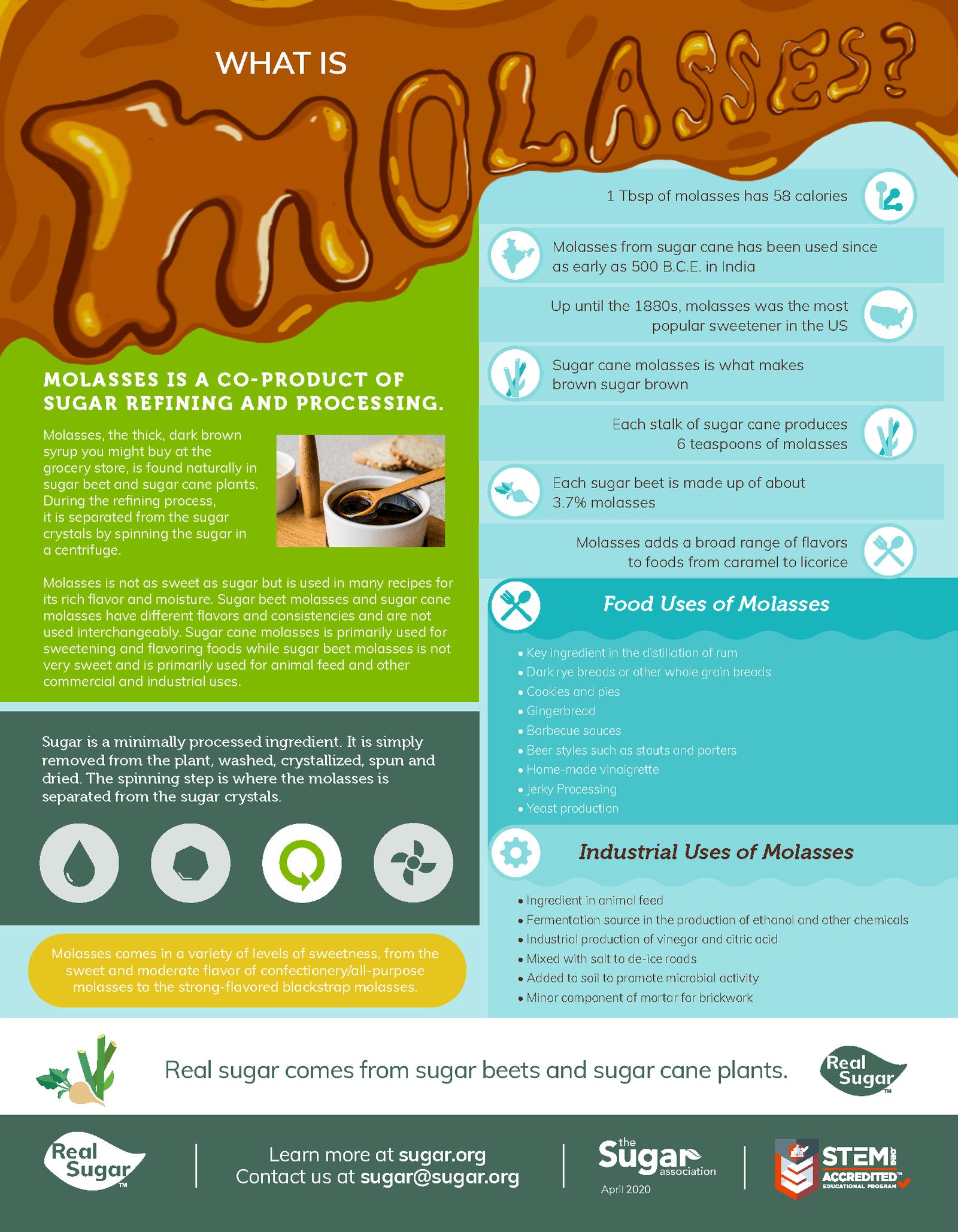 Molasses-Infographic