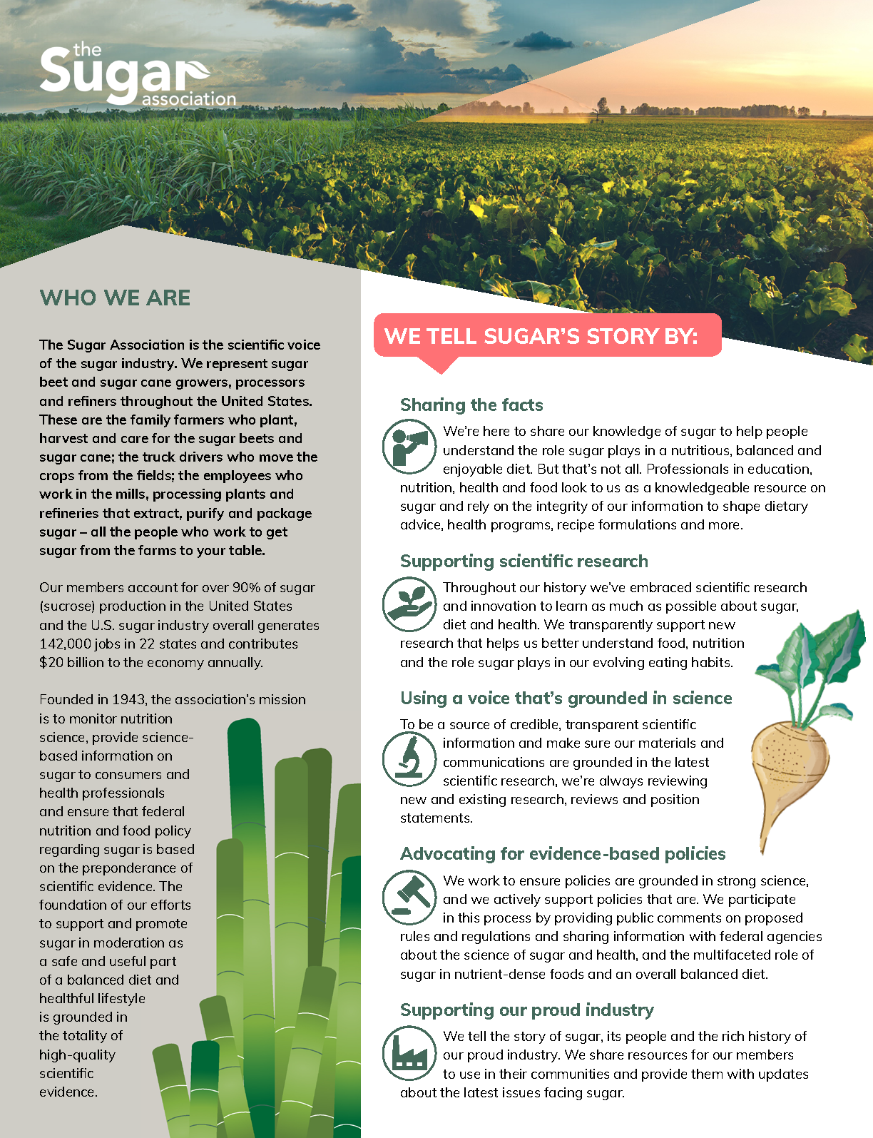 SAI About Us One infographic