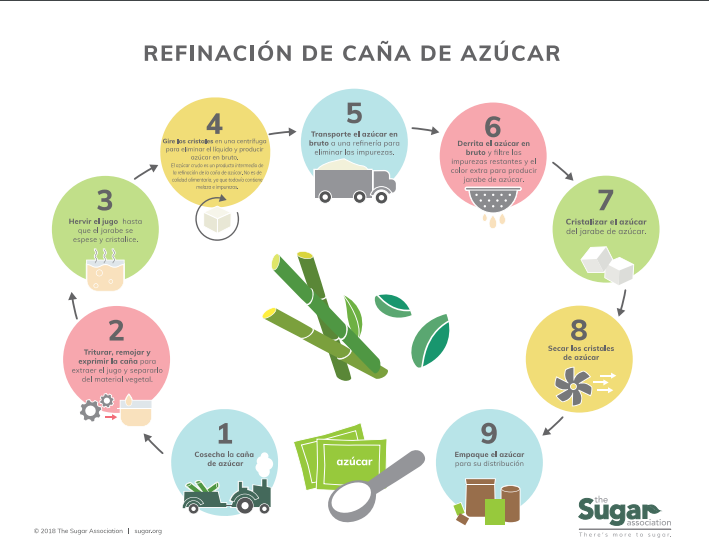 Sugar Cane Refining Infograph Spanish