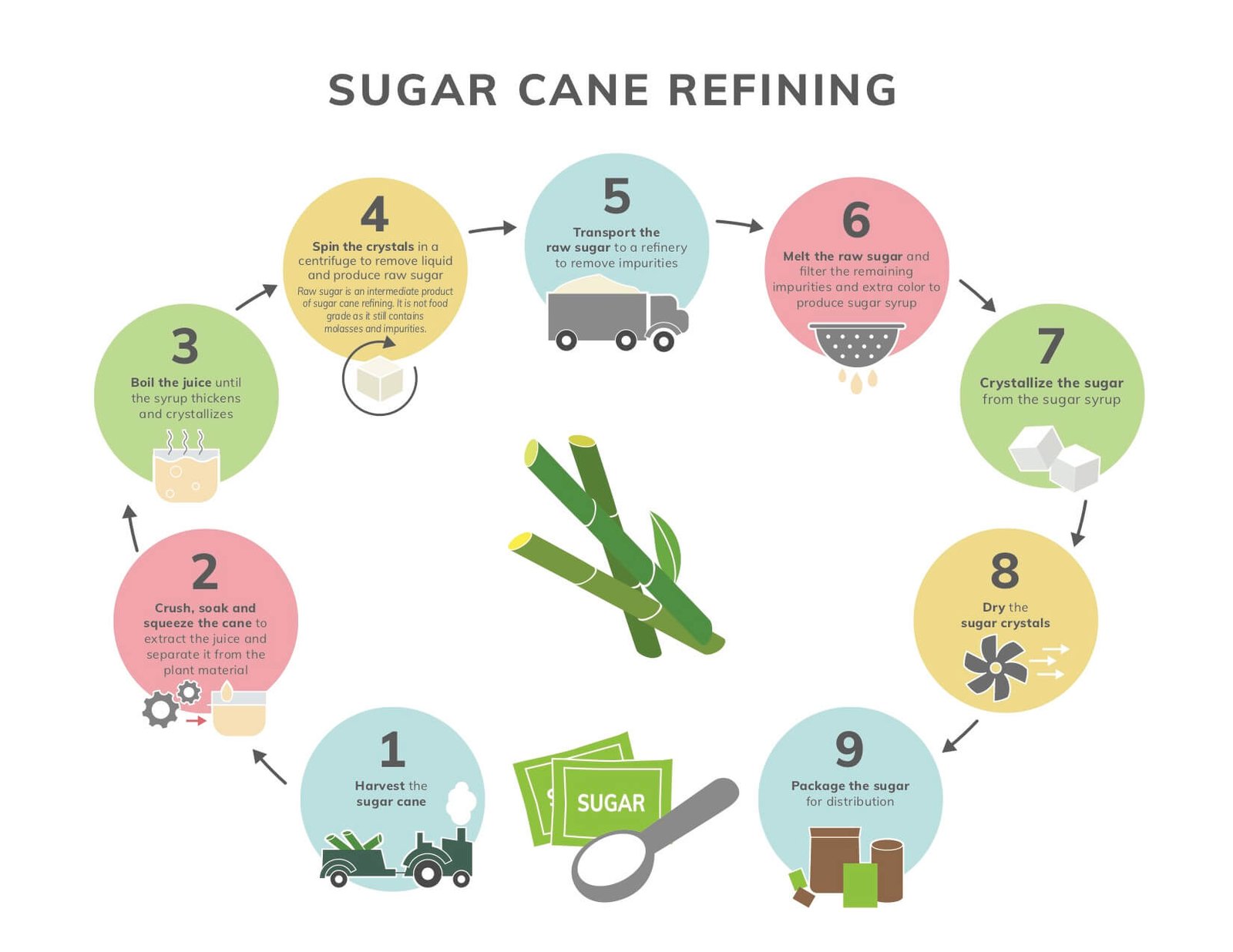 sugar cane refining