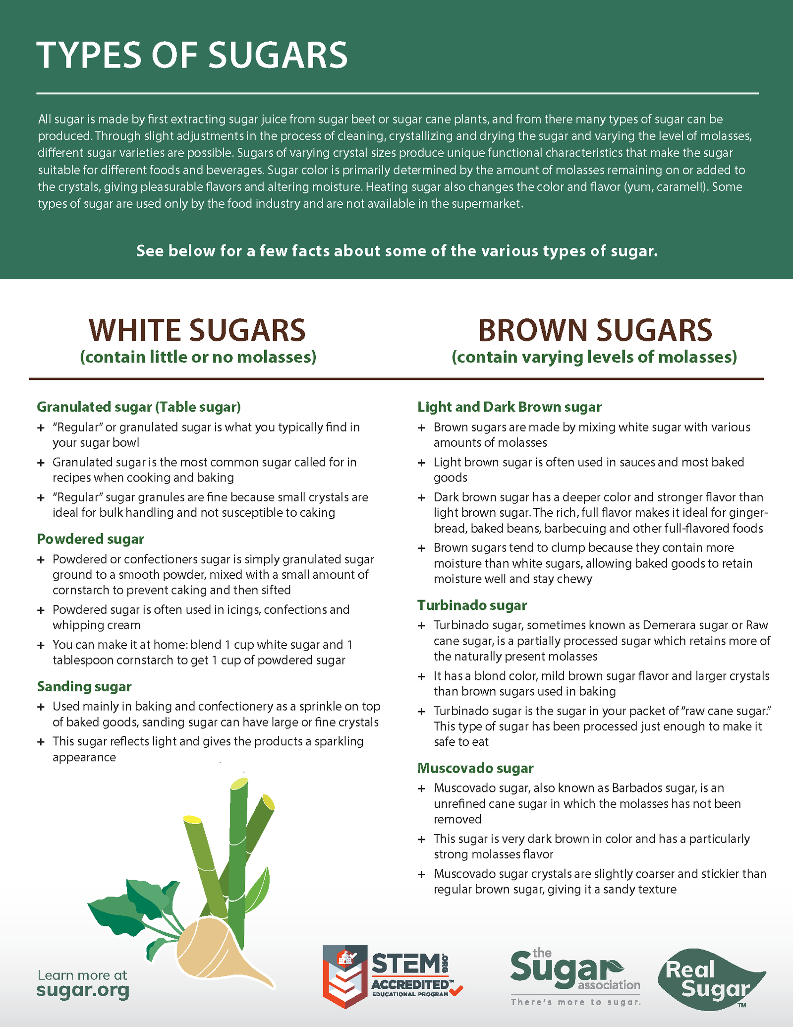 Types of Sugar infographic