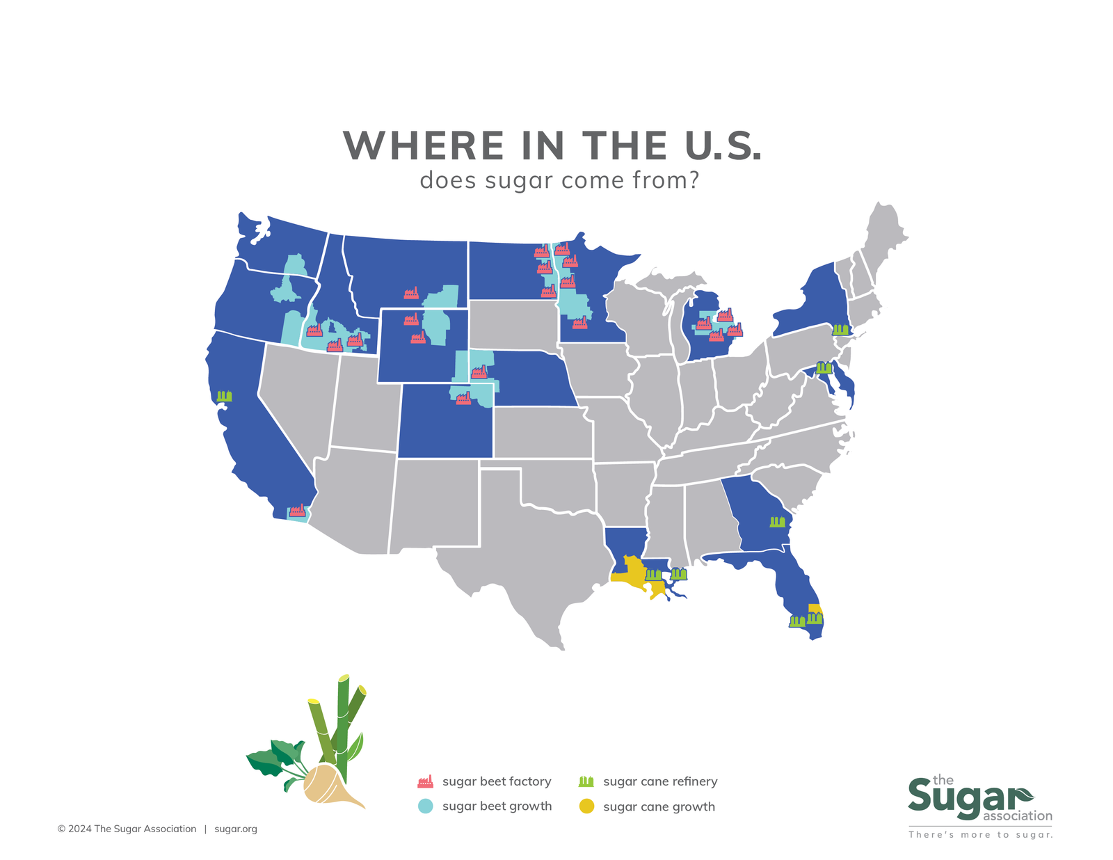 Where in the U.S. Does Sugar Come From