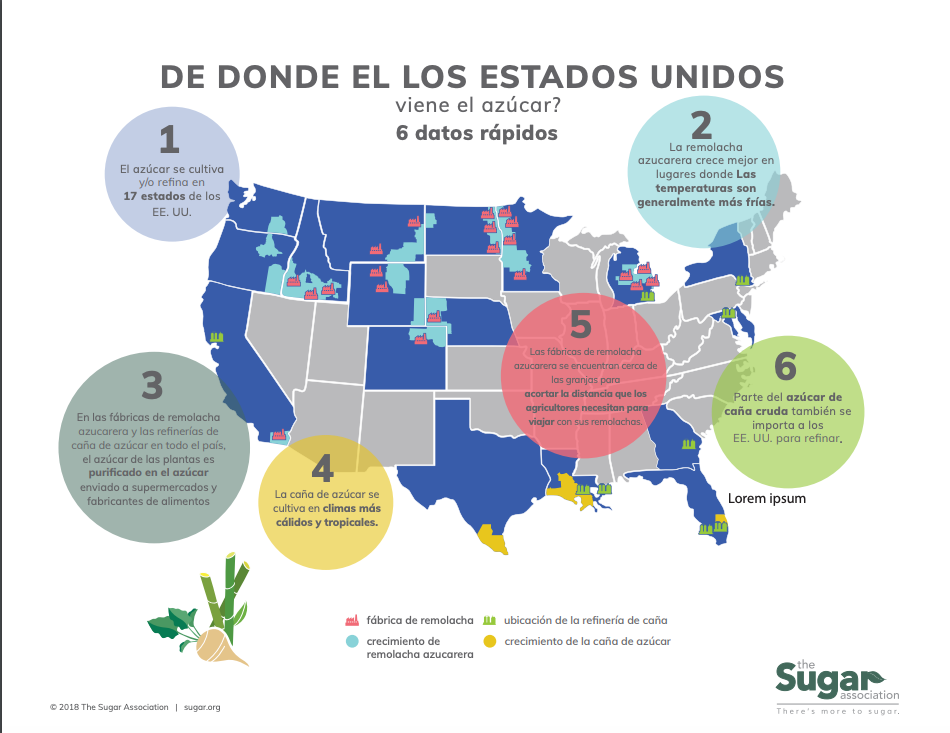 Where Does Sugar Come From - Spanish